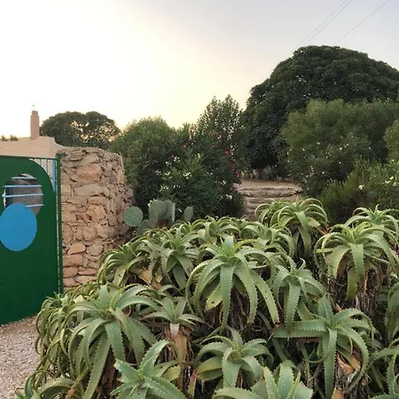 Affittacamere I Dammusi Del Blu *